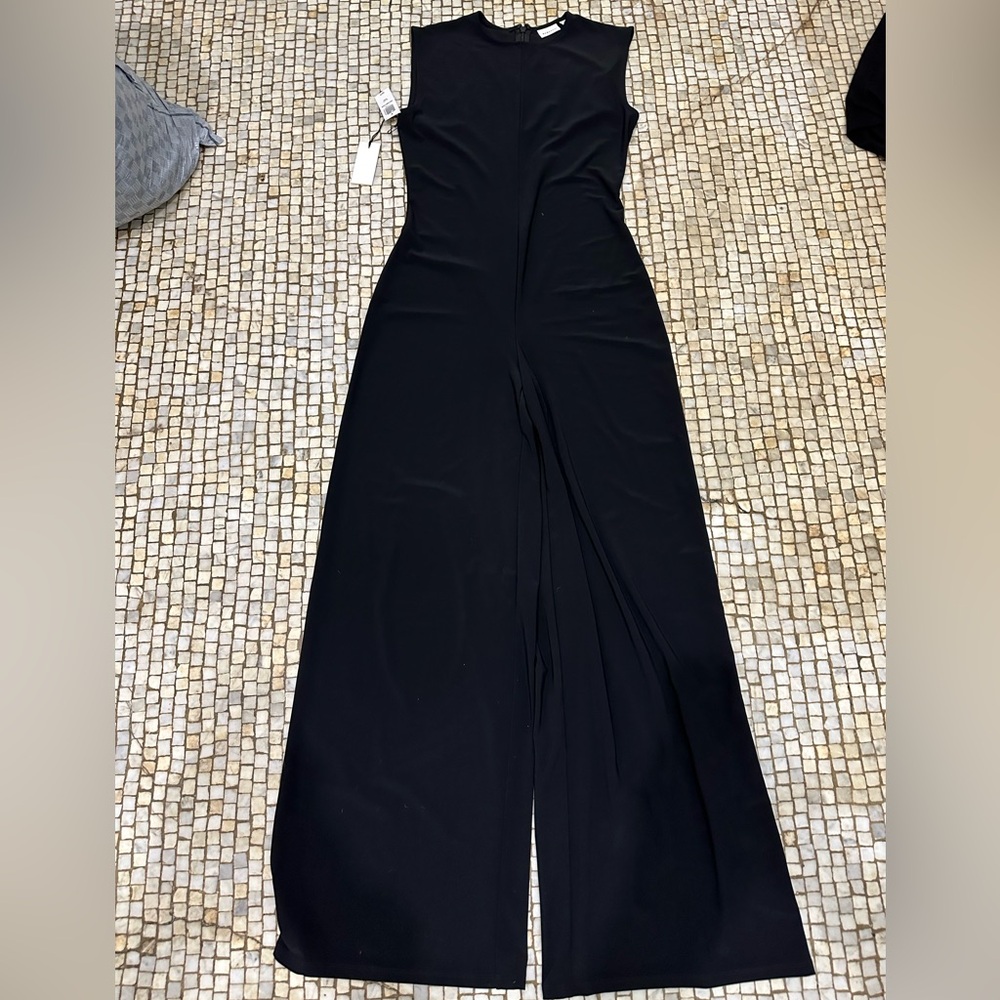 Aritzia Babaton Distinction Jumpsuit